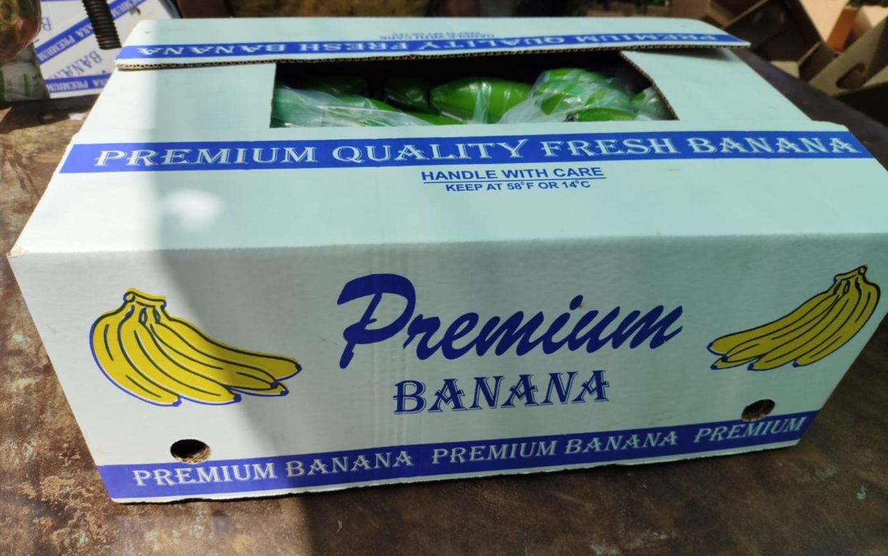 WhatsApp Image 2025-11-13 at 3.51.19 PM.jpeg